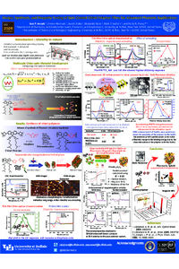 Poster PDF