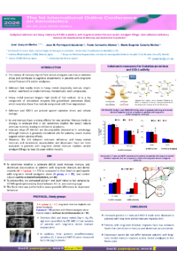 Poster PDF