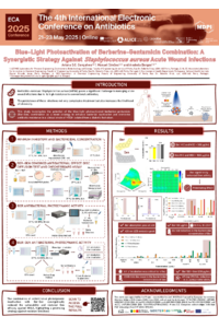 Poster PDF
