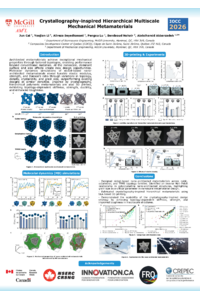 Poster PDF