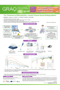 Poster PDF
