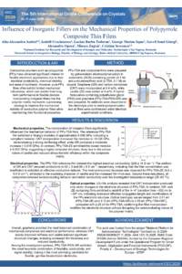 Poster PDF