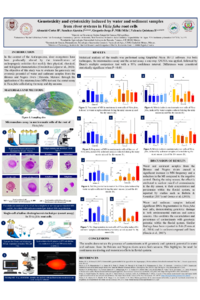Poster PDF
