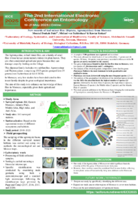 Poster PDF