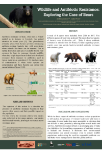 Poster PDF
