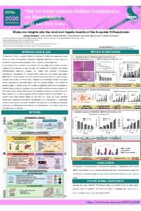 Poster PDF