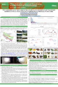 Poster PDF