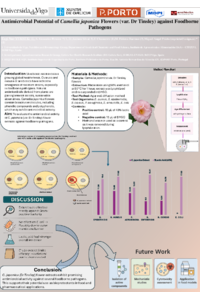 Poster PDF